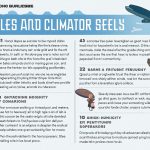 Лайфхаки для путешествий в сложных климатических условиях: как подготовиться к экстремальным погодным условиям. - Советы в путь | Туристический портал