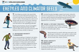 Лайфхаки для путешествий в сложных климатических условиях: как подготовиться к экстремальным погодным условиям. - Советы в путь | Туристический портал