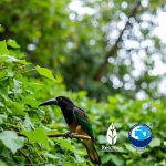 Как выбрать подходящие экотуры: советы для ответственных путешественников. - Советы в путь | Туристический портал